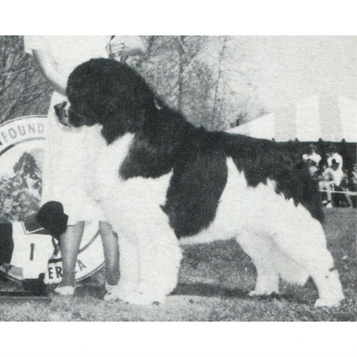 R Abbyacres Tobias (22-05-1981)